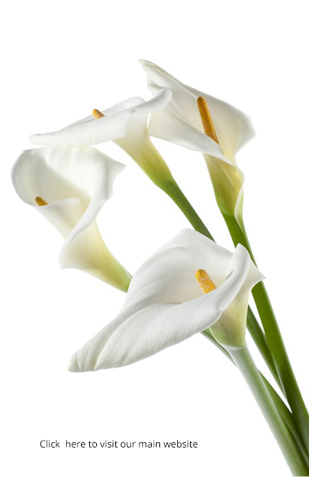 Direct Cremation Plymouth, Direct Cremation Exeter, Direct Cremation Bodmin, Low Cost Cremation Plymouth, Low Cost Cremation Exeter, Low Cost Cremation Bodmin